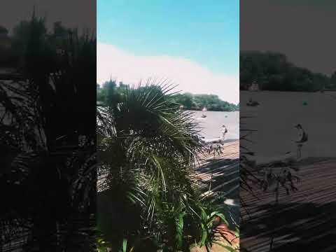 lujan River, tigre city, Buenos aires province, Argentina 12/2022.