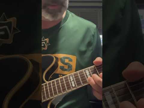 Epiphone Sheraton 1982 made in Japan image 6