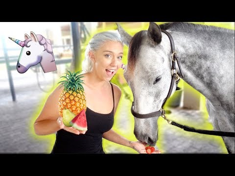 download lagu mp3 mp4 A Nicole Sharp Feeding Hand, download mp3 A Nicole Sharp Feeding Hand free download mp3, download mp3 A Nicole Sharp Feeding Hand