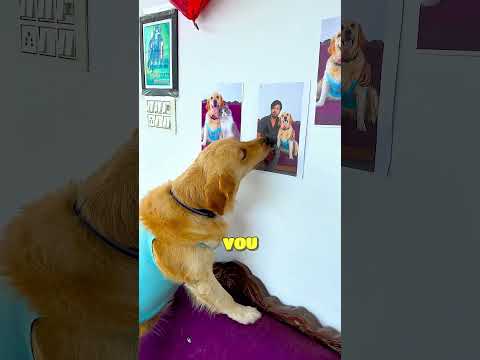 Uma História Que Vai Tocar Seu Coração!