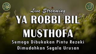 Download lagu Ya Robbi Bil Musthofa || Semoga Dibukakan Pintu Rezeki || Sholawat Nabi Muhammad SAW  Merdu mp3
