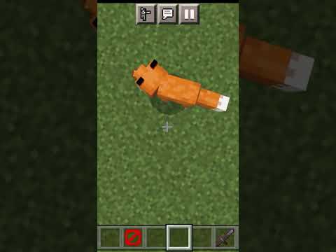 Viral Minecraft Experiment: You Won't Believe What Happened with Fox!