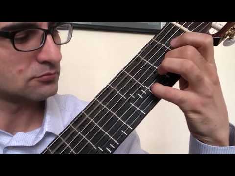 Meltem (Göksel Baktagir) - Microtonal Guitar - Tolgahan Çoğulu