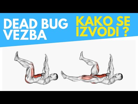 Kako se radi Dead bug vezba