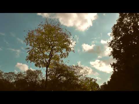 Cântare creștină cu versuri "Eu am văzut în viața Ta" - Mariana Someșan & Florin Deznan