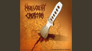 Multiple Stab Wounds