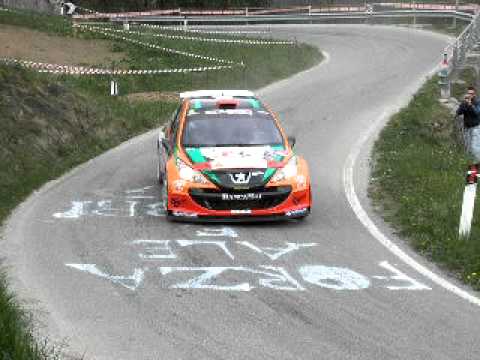RALLY 1000 MIGLIA 2011 PEUGEOT 207 S.2000 "TORNANTE"PS 10 PERTICHE