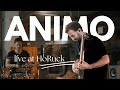 ANIMO - Off The Line | Live at HoRuck