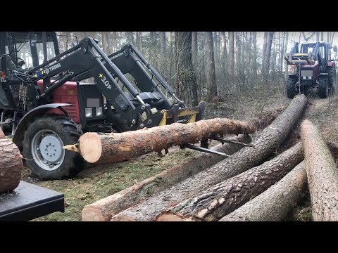 Mit Belarus Holzrücken im Wald