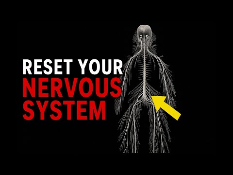 If You Don’t Reset Your Nervous System, You Can’t Manifest Anything