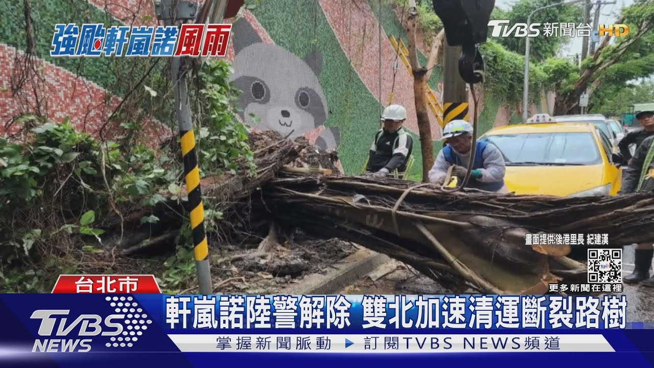 軒嵐諾陸警解除　雙北加速清運斷裂路樹