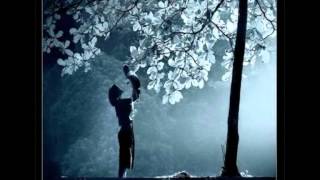 Instinto de Conservação -  Livro dos Espiritos