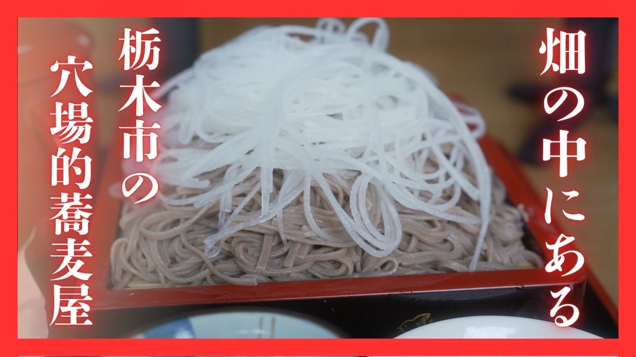 ＃525 畑の中にポツンとある穴場的蕎麦屋　そば処　山