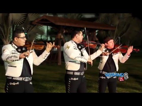 Mariachi Sol De Mi Tierra - Vuela Paloma (En Vivo 2016)