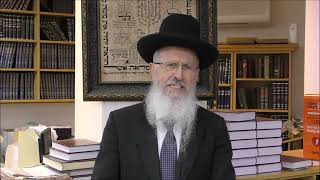 הרב הגאון אברהם יוסף שליט"א כשם שפירותיה משונים כך היושבים בה משונים פרשת שלח לך תשפ"ה (הרב אברהם יוסף) - התמונה מוצגת ישירות מתוך אתר האינטרנט יוטיוב. זכויות היוצרים בתמונה שייכות ליוצרה. קישור קרדיט למקור התוכן נמצא בתוך דף הסרטון