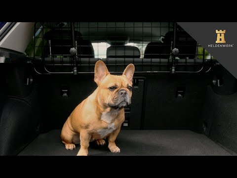 Heldenwerk Trenngitter für Hunde - Auto Hundegitter zum Transport für deinen Hund