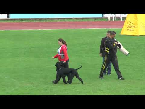 081 07 33 C Jarmila Kadlecova   M Woo Doo Hanno Veto 96 90 91 A 277 sg 8 ISPU 2013