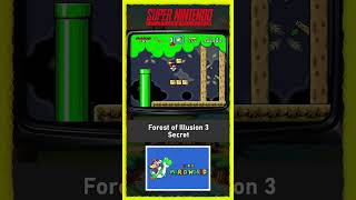 Capa de Forest of Illusion 3 (Secreta)