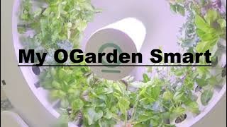 Introducing my OGarden Smart: The Future of Indoor Gardening