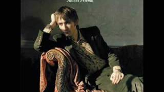 The Divine Comedy - Sticks and Stones