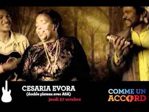 Lavilliers - Aubert - Raphael - Ringer - Evora - Asa -  Les Nuits de Champagne 2011