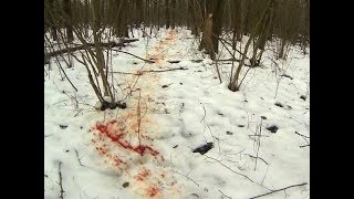 ПОДРАНКОВ НЕ БУДЕТ.