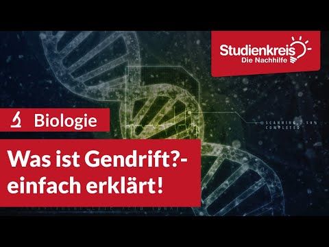 Was ist Gendrift? | Biologie verstehen mit dem Studienkreis