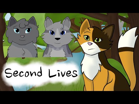 Second Lives – Sunny's Spiel | Warriors Analysis