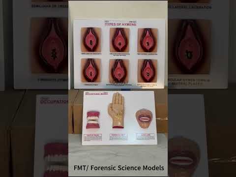 Dbios White Forensic Model