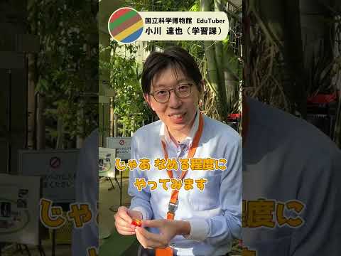 【日本初結実!!】検証!熱帯の植物「ショクダイオオコンニャク」の果実を口に含むとどうなる⁉ #shorts