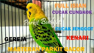 Download lagu MASTERAN PARKIT GACOR ! FULL ISIAN GEREJA CJENGGOT KENARI LOVEBIRD For murai C ijo / Budgie Parakeet mp3 Download lagu MASTERAN PARKIT GACOR ! FULL ISIAN GEREJA CJENGGOT KENARI LOVEBIRD For murai C ijo / Budgie Parakeet mp3