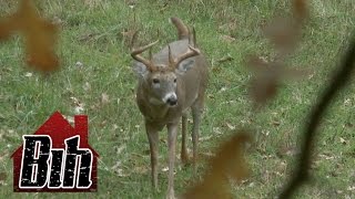 15-Yard Files: Smart Old Missouri Buck Tries to Jump the String