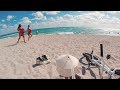 NIGEL SYLVESTER | GO - Miami NIGEL SYLVESTER | GO - Miami