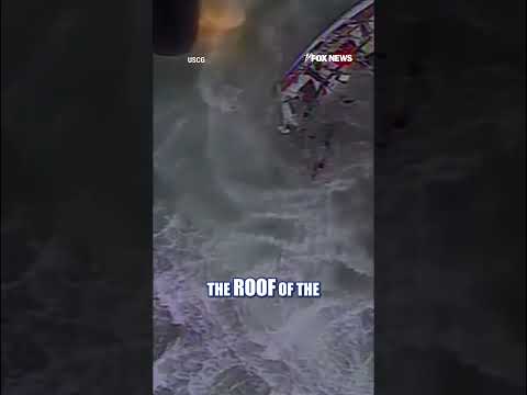 WATCH: US Coast Guard rescues sailor from SINKING ship #shorts #us #news #foxnews #coastguard