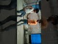 Na Jaungi Bihar Up Goli Chal Jayegi Mitilesh Aur Manoj Saxena Danser Jila Hardoi