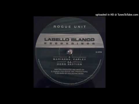 Rogue Unit - Marianna Carley