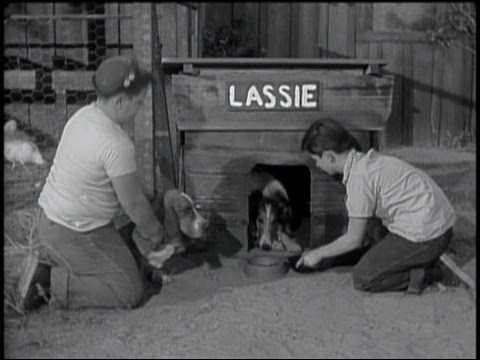 Lassie - Episode #93 - The Dog House -  Season 3, Ep. 28 -  03/17/1957