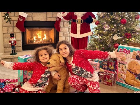 Christmas Morning Special Day Opening Presents | We got a Puppy - kids opening surprises 