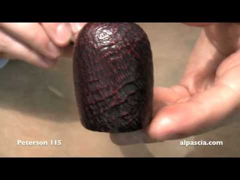 pipa Peterson 115 - smoking pipes
