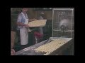 Sesame Street Pasta Stereo Remix