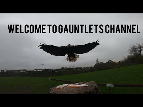 Introduction To Gauntlets Channel