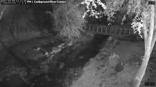 River Camera Live Stream live webcam