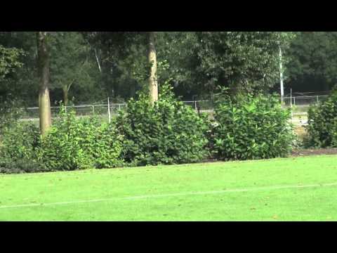 Olympia   vs   Veerse Boys F4 (beker) augustus 2012 (de kannibalen)