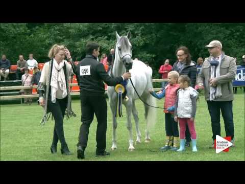 Bruges 2016 - Senior Mares National Championship - Prizegiving - 2nd place: n. 50