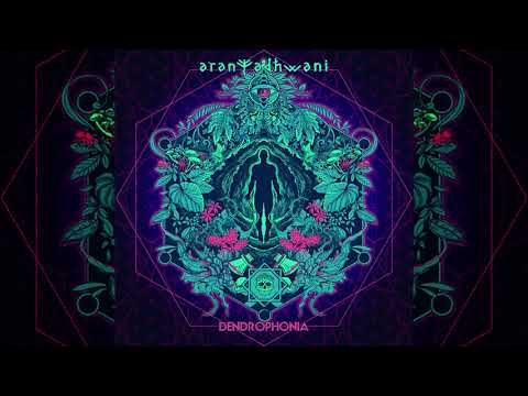 Weeknockz ( Weejoonz & Knock Knock ) - Spacetramcisco