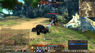 ECho of Soul Gameplay