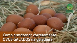Miniatura do vídeo