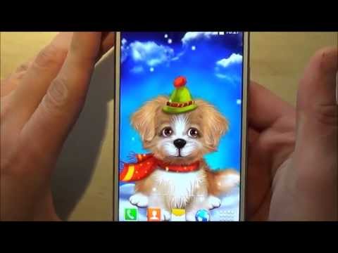 Cute Puppy Live Wallpaper Video