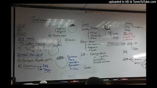7) Dr. wael salah trachoma