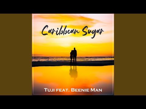 Caribbean sugar (feat. Beenie Man & Chris S)